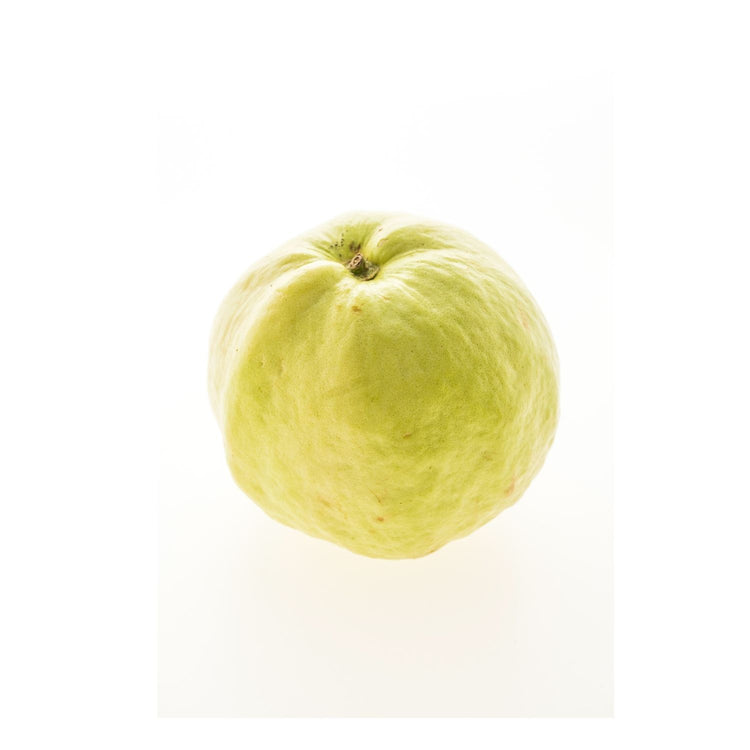 Guava White Big