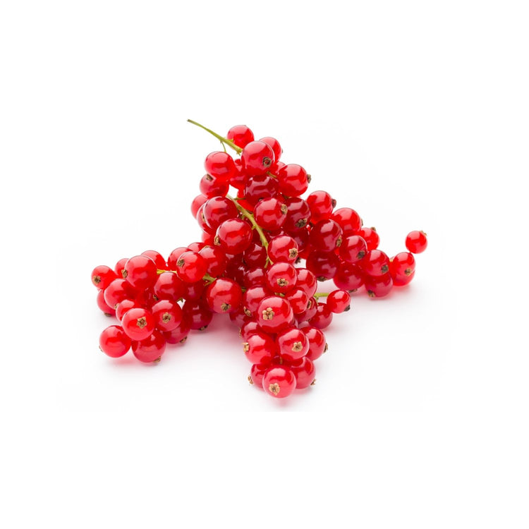 Red current