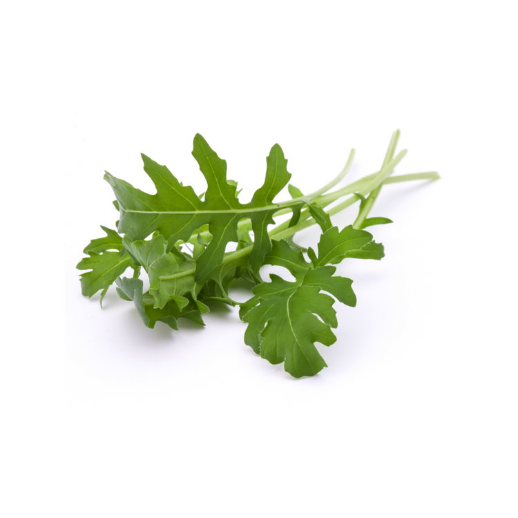 Arugula
