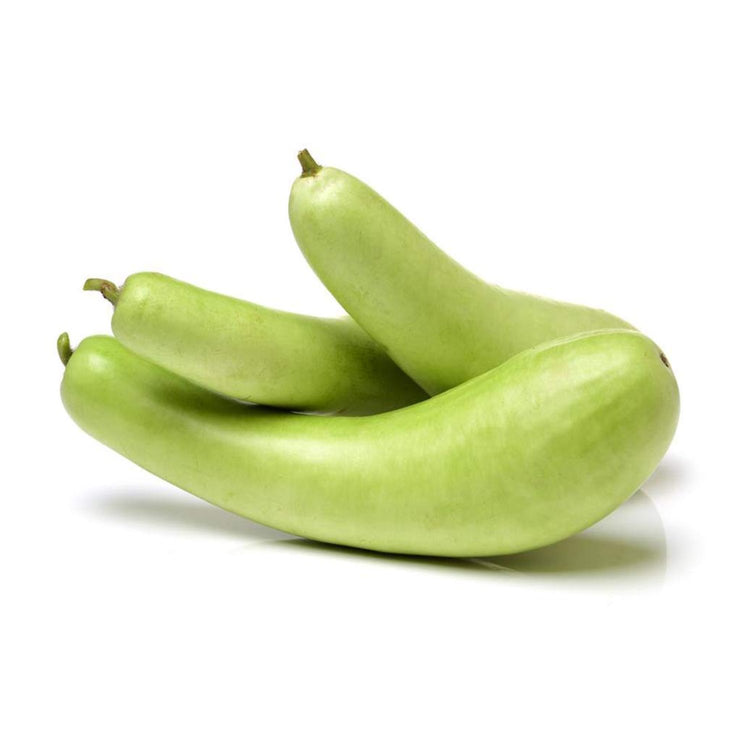 Loki (Bottle Gourd)