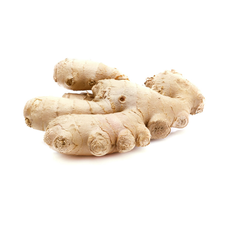 Ginger
