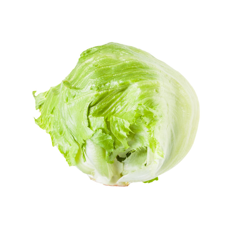 Iceberg Lettuce
