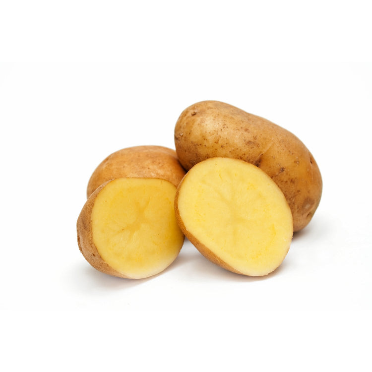 Potato
