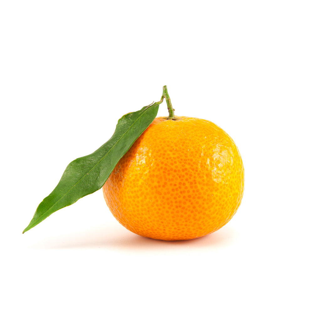 Mandarin Orange Australia (Mini Orange)