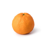 Orange Valencia Eygpt