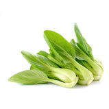 Pok choi