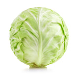 Cabbage