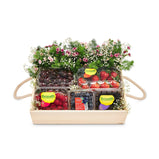 Berries Gift Hamper