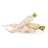 White Radish